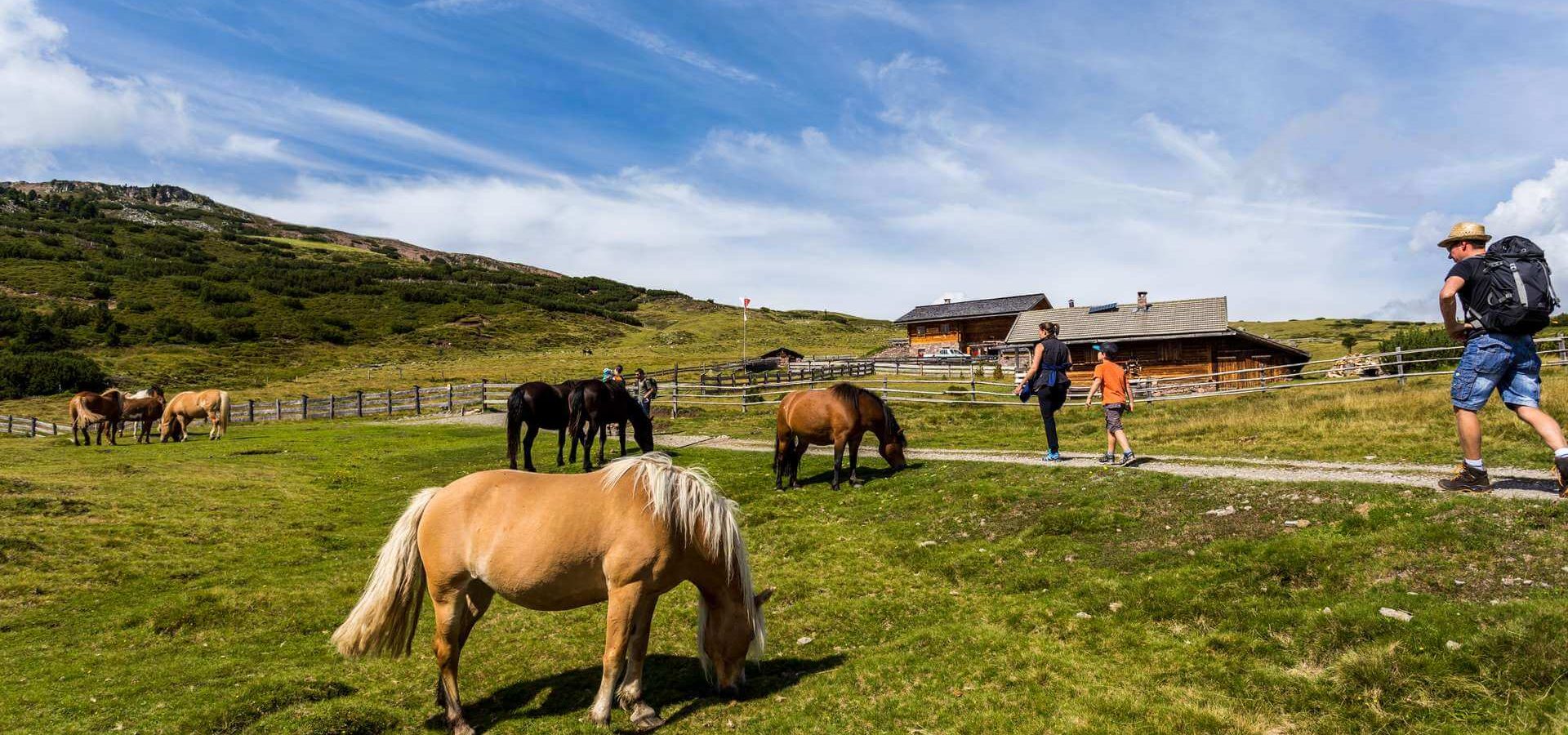 Sommerurlaub Eisacktal - Barbian / Südtirol