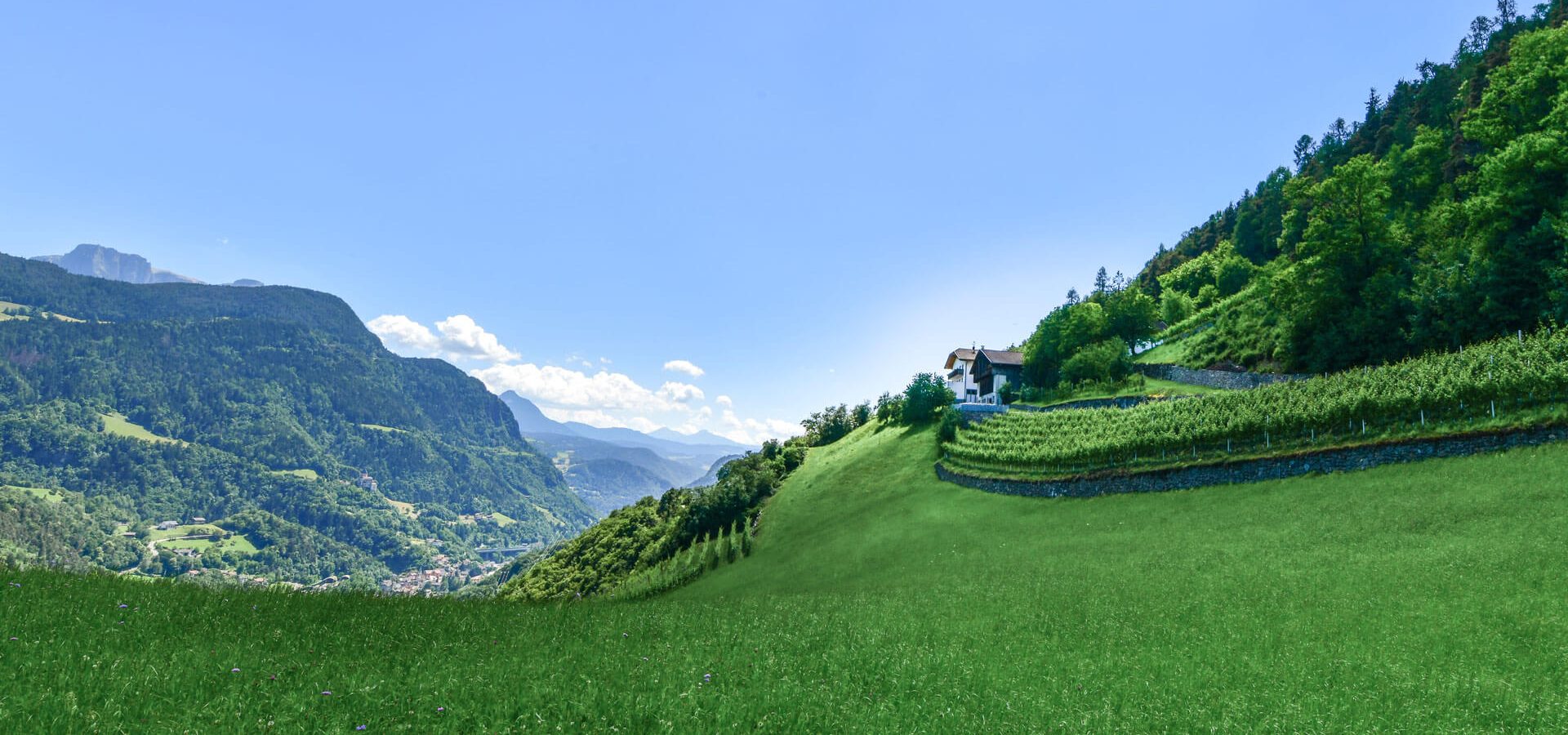 Urlaub auf dem Bauernhof in Barbian / Südtirol