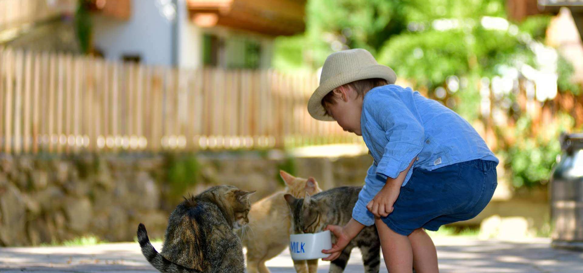 Urlaub auf dem Bauernhof mit Kindern in Südtirol